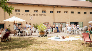 Sommerliche Stimmung im Hof des Weingut Robert König: Gäste sitzen unter weißen Sonnenschirmen, genießen Wein und regionale Spezialitäten und feiern in entspannter Atmosphäre zwischen Fasslagern und Weinbar.
